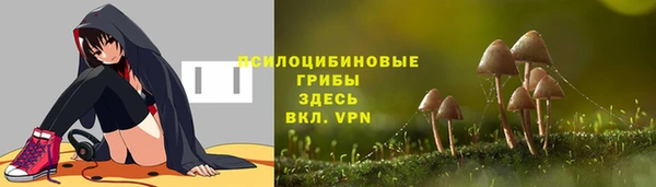 гашик Тобольск