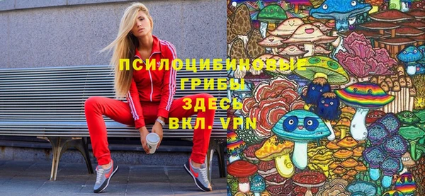 mix Богородск