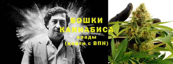 mix Богородск
